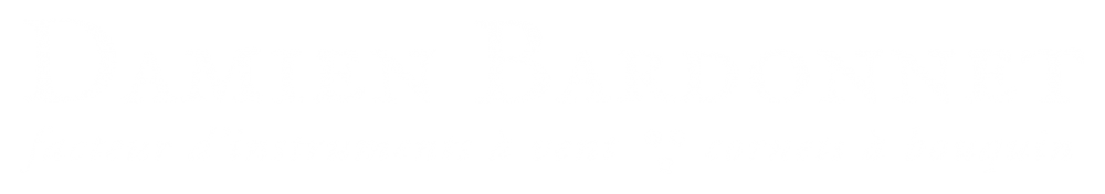 Damien Bardonnet-Logo accueil